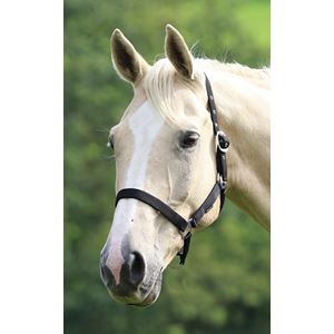 Shires Wessex Nylon Headcollar 