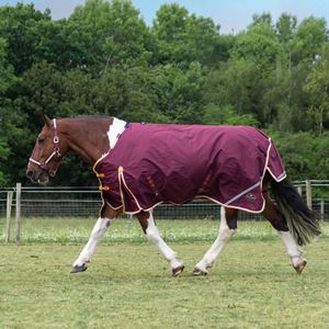 Gallop 1200D TROJAN Xtra 100g Duraproof 5-Point Turnout (Burgundy with Orange/White bindings)