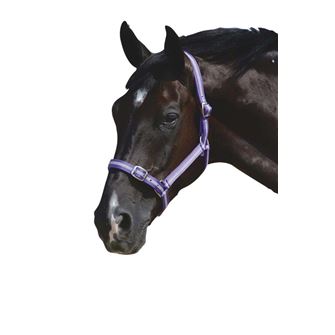 Roma Headcollar & Leadrope Set *Clearance*