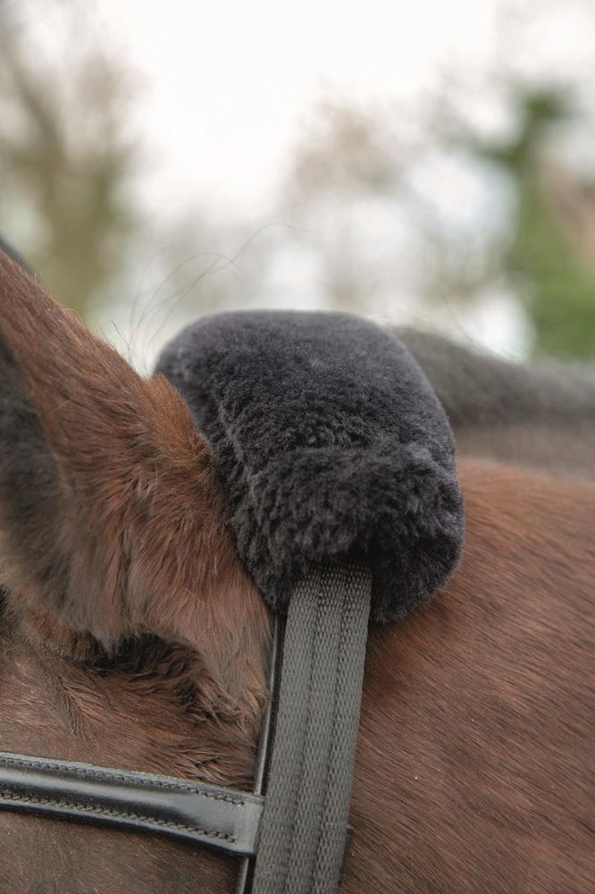 Shires Lunging Adapter