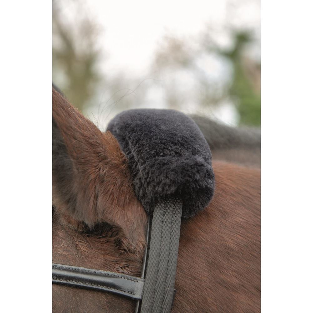 Shires Lunging Adapter