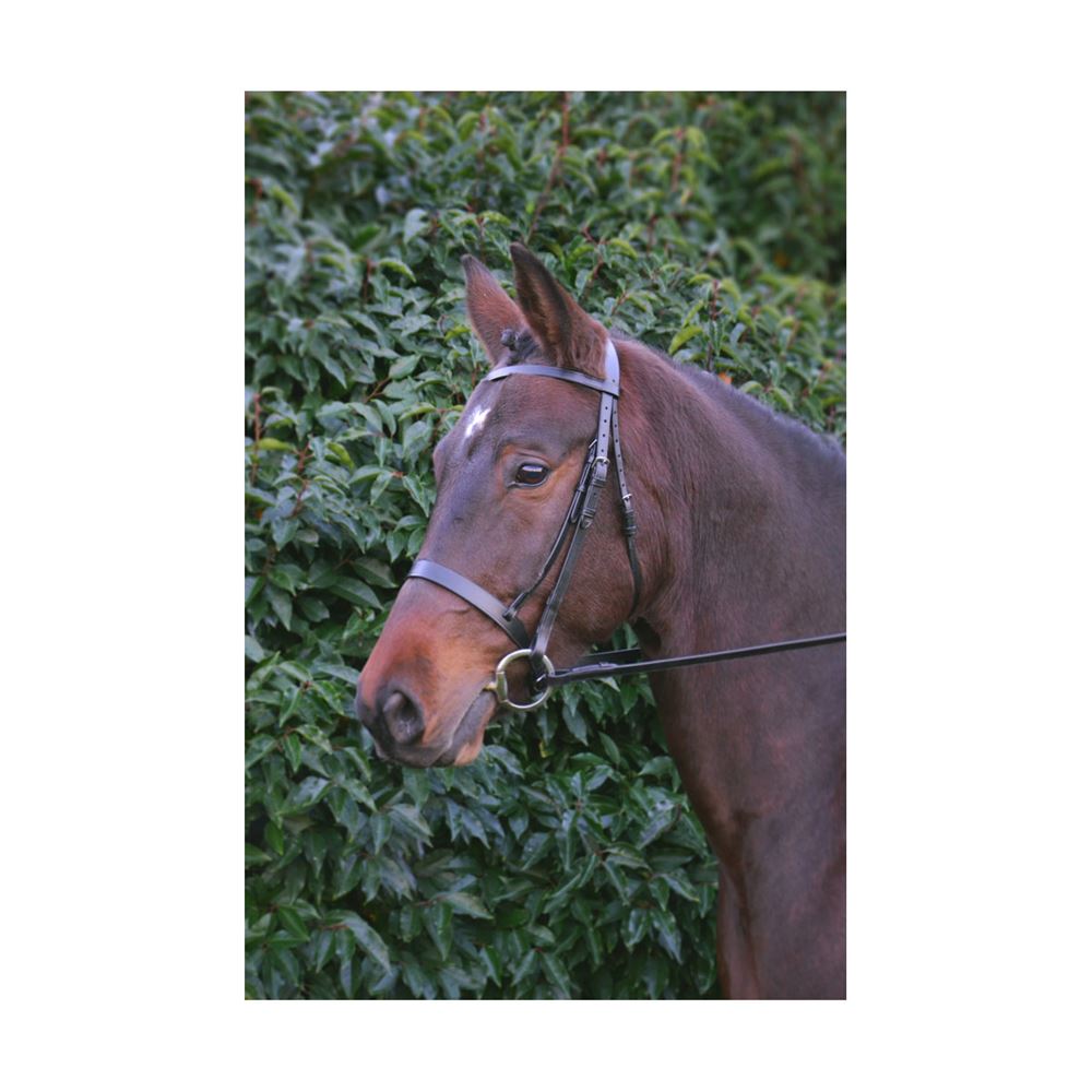 Hy Equestrian Hunter Bridle with Rubber Grip Reins (Brown)