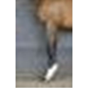 ScootBoot TheraRide Hoof Boots (Pair) LAUNCH OFFER!