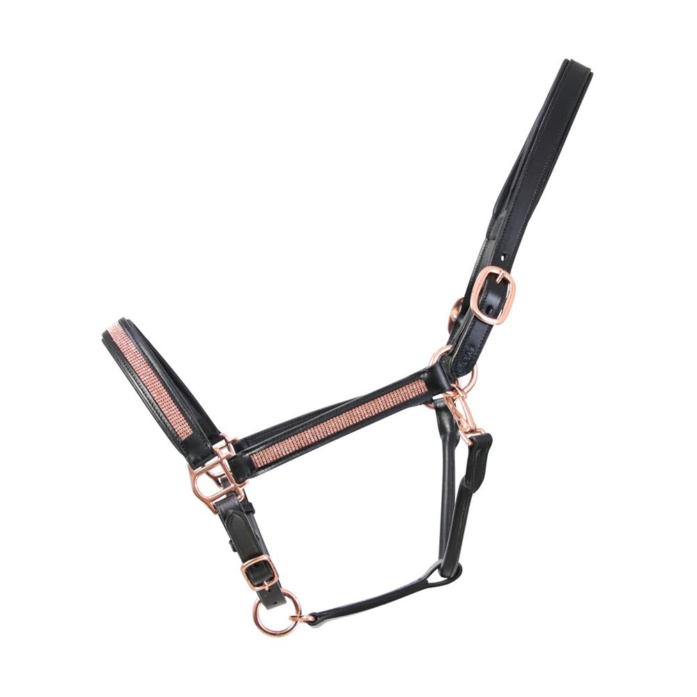 Hy Equestrian Rosciano Rose Gold Head Collar (Black)