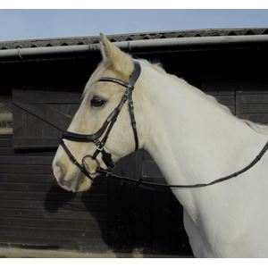 Heritage Saddlery Anotomical Flash Bridle