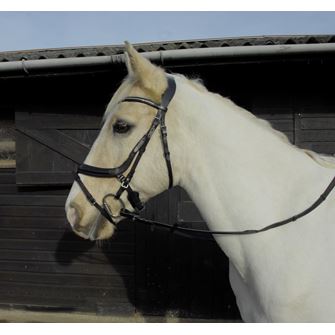 Heritage Saddlery Anatomical Flash Bridle