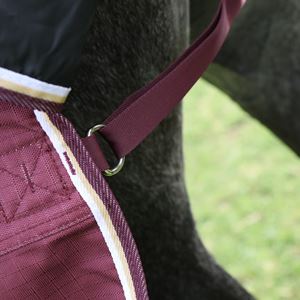 Shires Highlander Plus 100 Combo Turnout Rug (Maroon)