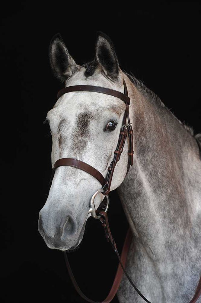 Collegiate Hunt Cavesson Bridle