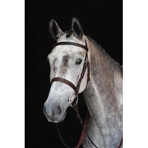 Collegiate Hunt Cavesson Bridle