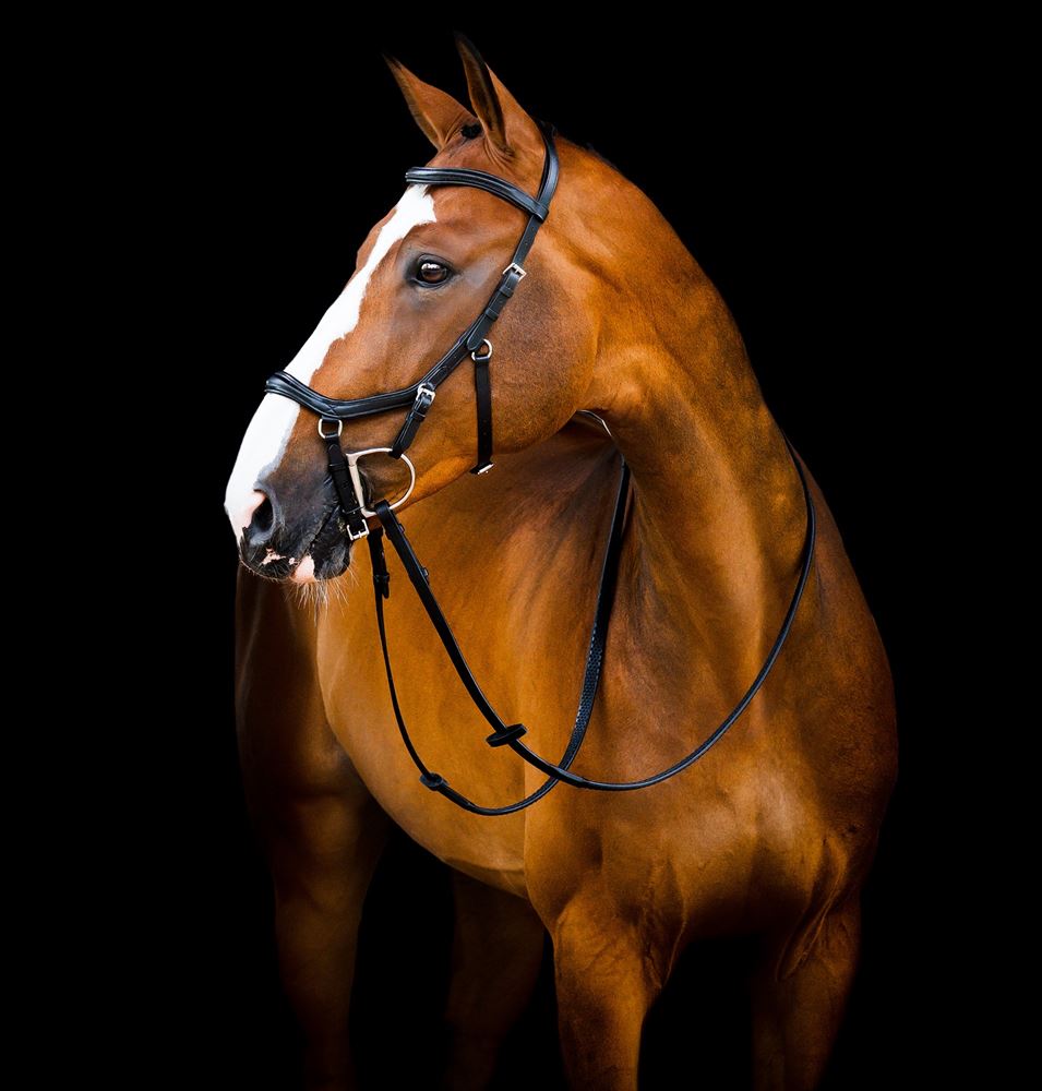 Horseware Micklem 2 Deluxe Competition Bridle *With Reins* (Black)