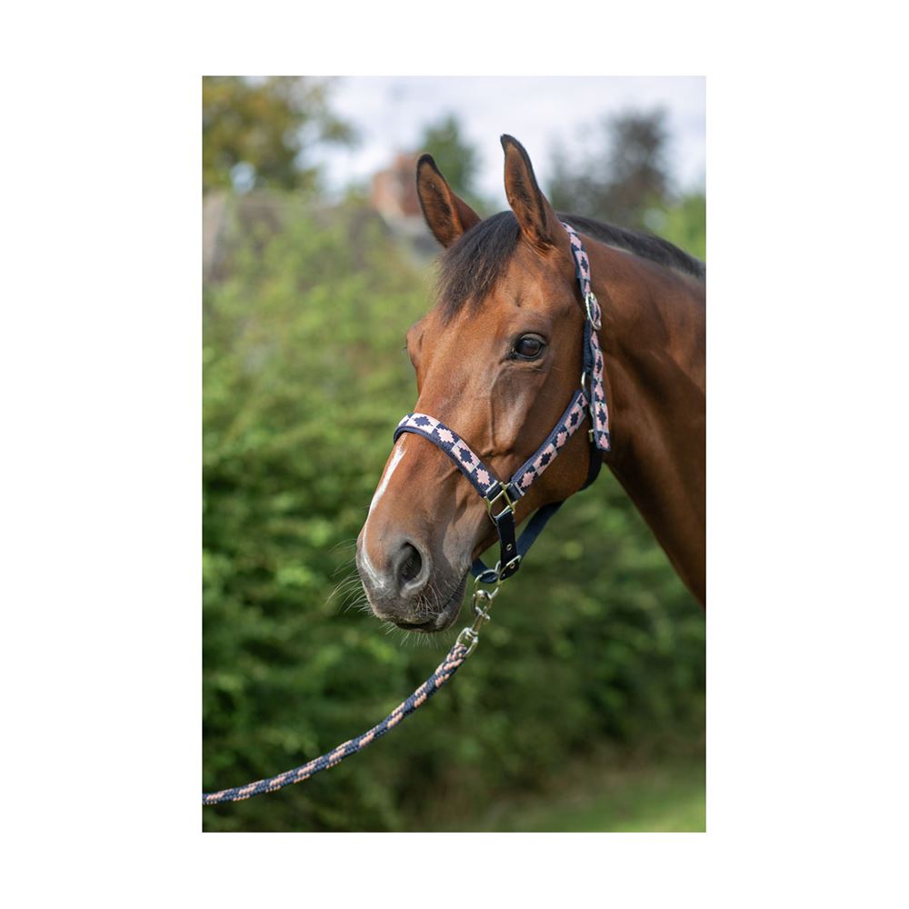 Hy Equestrian Woven Polo Head Collar and Lead Rope (Navy/Rose)