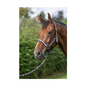 Hy Equestrian Woven Polo Head Collar and Lead Rope (Navy/Rose)