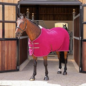 Shires Tempest Original Fleece Rug (Maroon)