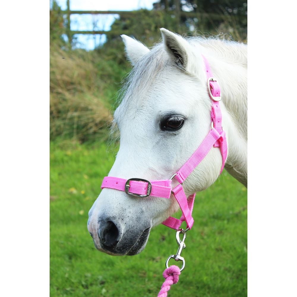 Gallop Headcollar & Leadrope Set (Pink)