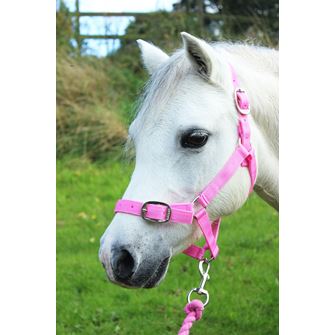 Gallop Headcollar & Leadrope Set (Pink)