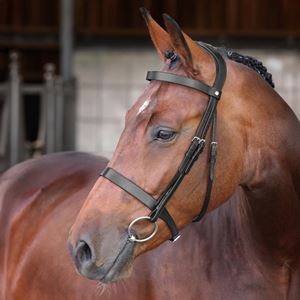 Shires Velociti LUSSO Elite Hunter Bridle (Black)
