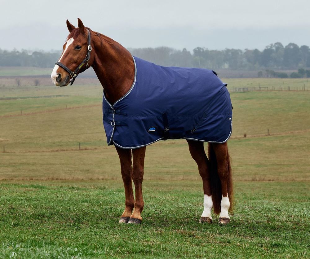 Weatherbeeta Comfitec Tyro Turnout Combo - 0g (Navy/Charcoal)