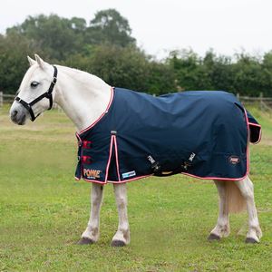 Gallop Ponie 200 Standard DURAPROOF Turnout Rug - 200g (Navy/Red)