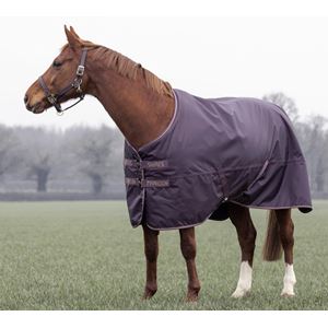 Shires Typhoon 100 Turnout Rug (Black Cherry)
