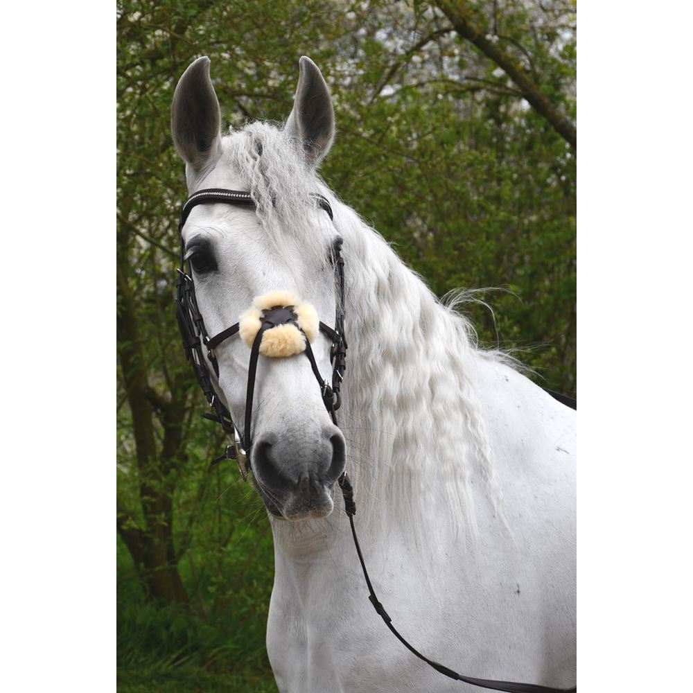 Rhinegold Luxe Anatomical Leather Mexican Bridle