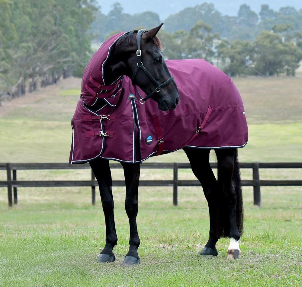 Weatherbeeta Comfitec Essential Turnout Combo - 360g (Burgundy/Navy)