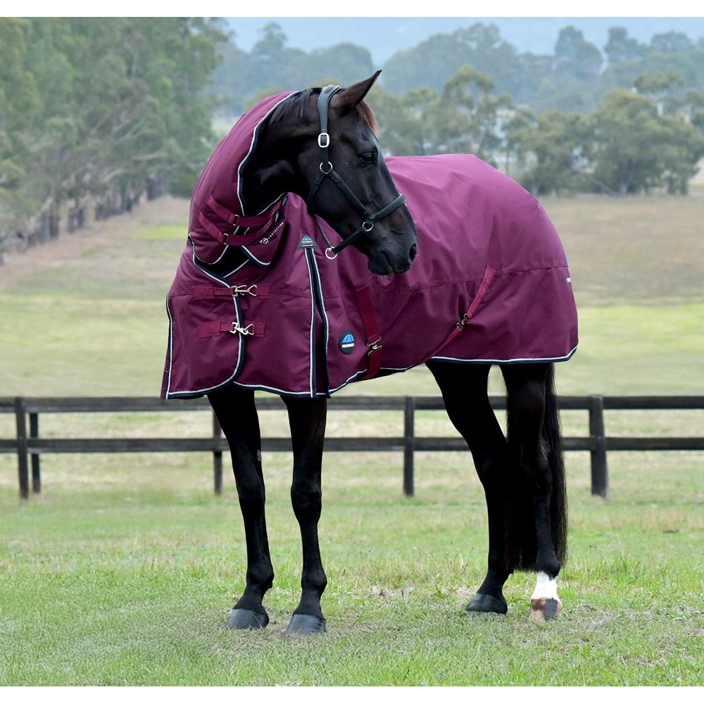 Weatherbeeta Comfitec Essential Turnout Combo - 360g (Burgundy/Navy)