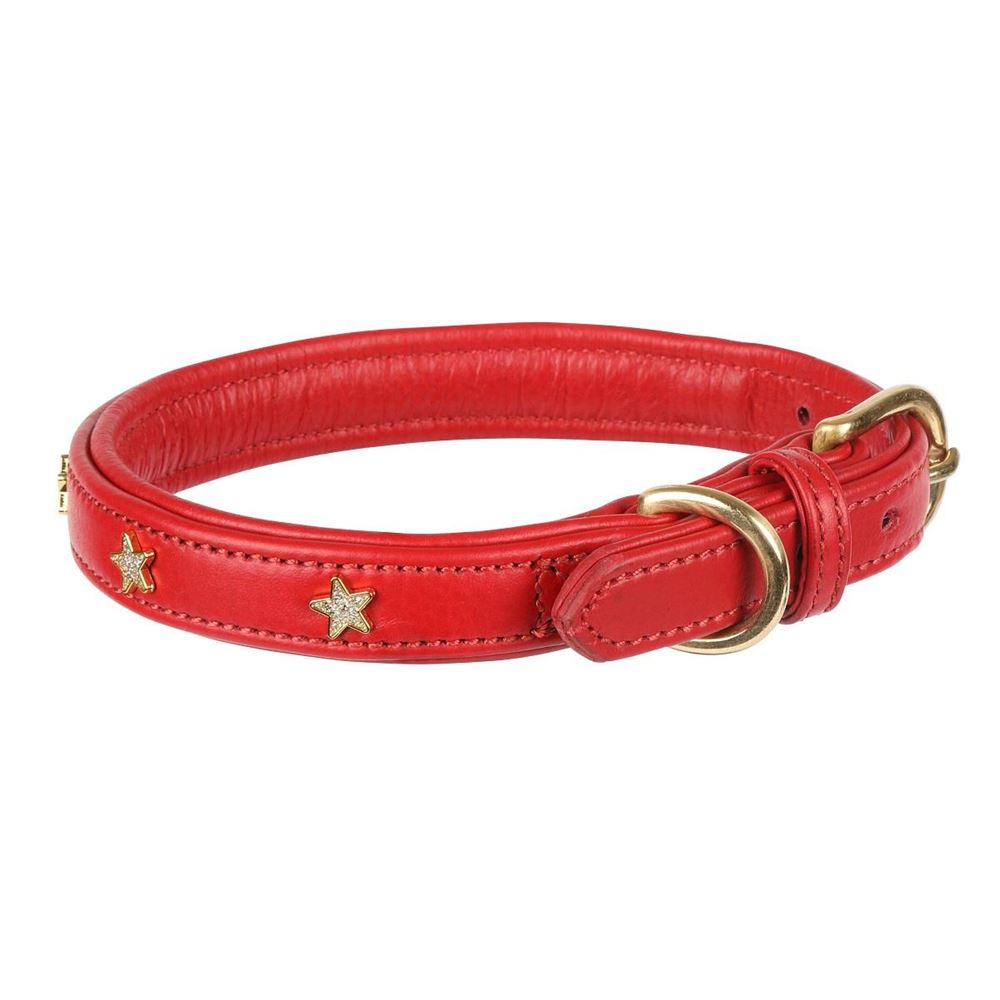 **barcodes** Digby & Fox Star Dog Collar - XS, XXS (Scarlett)