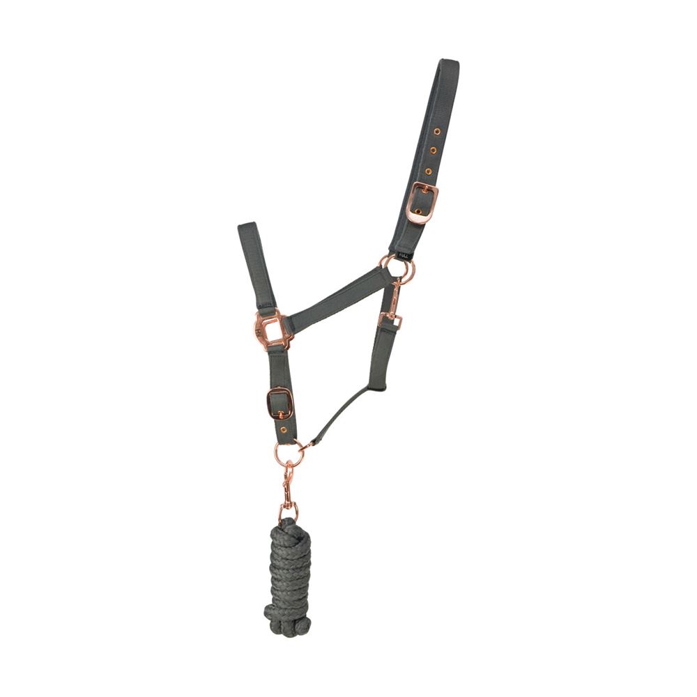 Hy Rose Gold Headcollar and Lead Rope