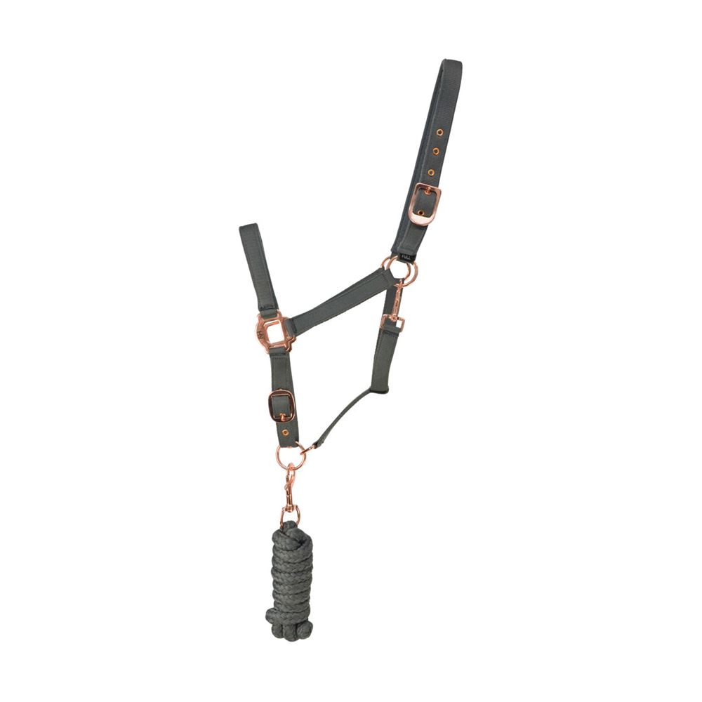 Hy Rose Gold Headcollar and Lead Rope
