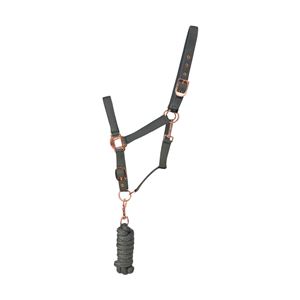 Hy Rose Gold Headcollar and Lead Rope