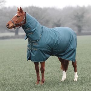 Shires Typhoon 200 Combo Turnout Rug (Green)