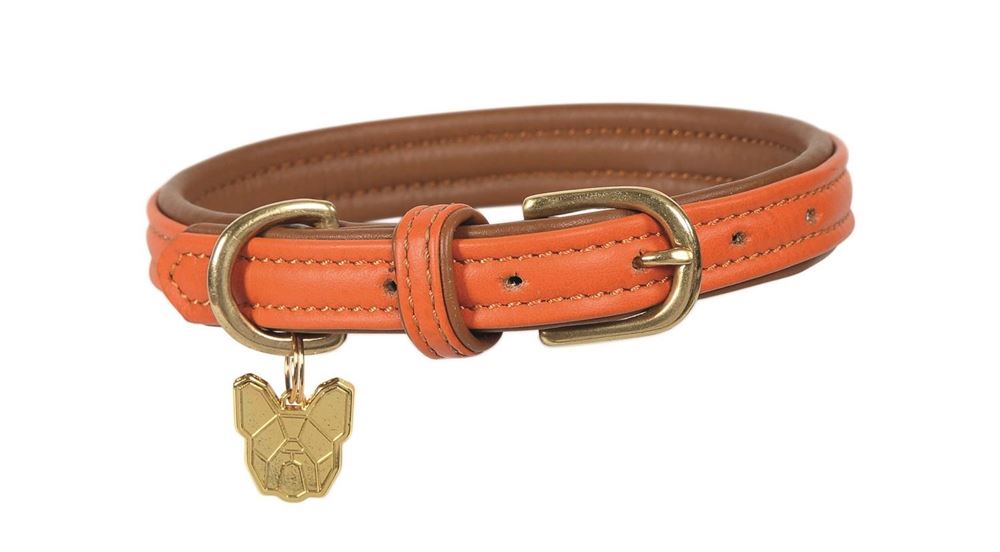 Shires Digby & Fox Padded Leather Dog Collar XL - XXL