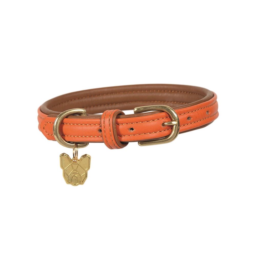 Shires Digby & Fox Padded Leather Dog Collar XL - XXL