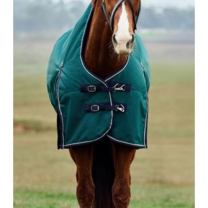 Weatherbeeta Comfitec Plus Dynamic Turnout High Neck - 220g (Forest Green/Navy)