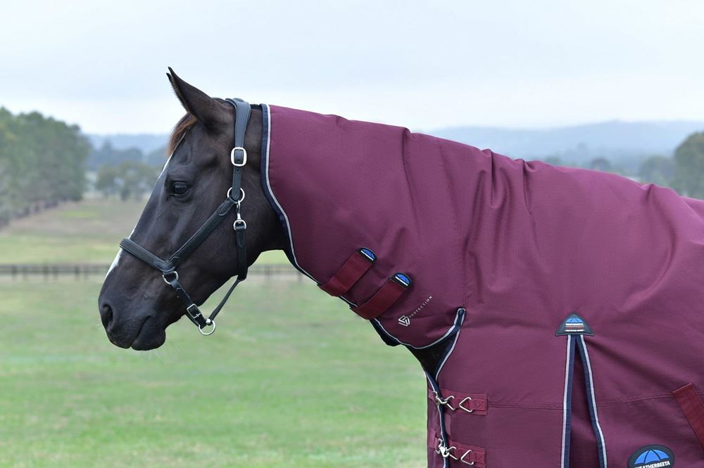 Weatherbeeta Comfitec Essential Turnout Combo - 50g (Burgundy/Navy)
