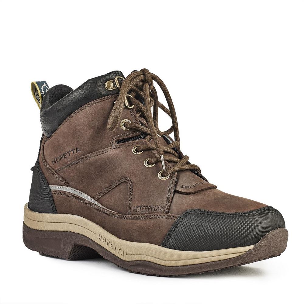 Shires Moretta Eleonora Lace Front Boots (Brown)