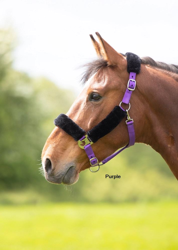 Shires Fleece Lined Headcollar