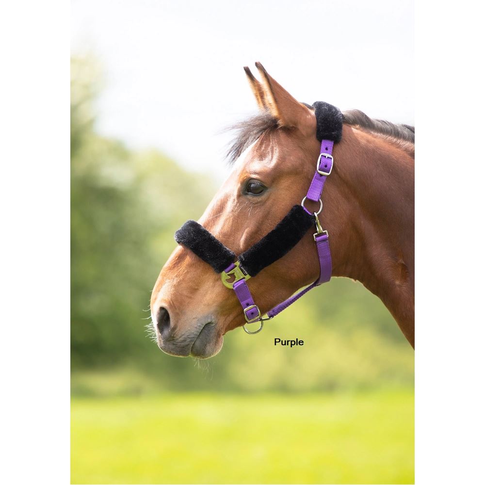 Shires Fleece Lined Headcollar