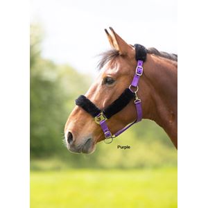 Shires Fleece Lined Headcollar