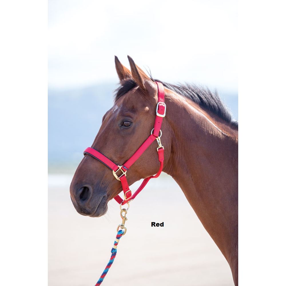 Shires Topaz Nylon Headcollar