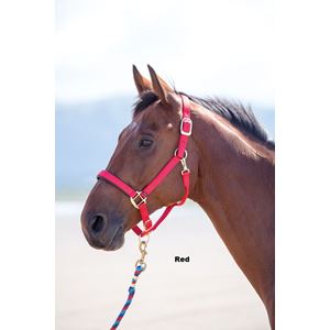 Shires Topaz Nylon Headcollar