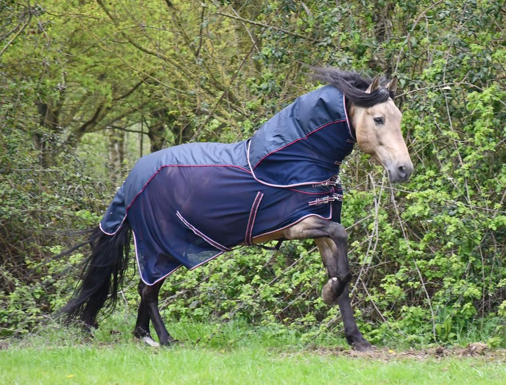 Rhinegold Mombasa Waterproof Topline Fly Rug With Neck Cover (Navy)