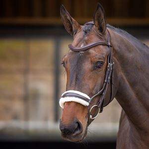 Shires Velociti Rapida Fleece Rolled Noseband