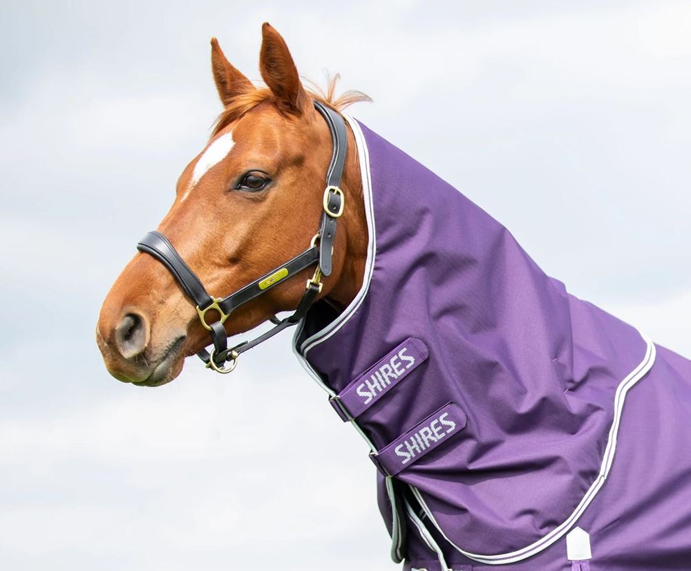 Shires Highlander Original 100 Neck Cover (Plum)