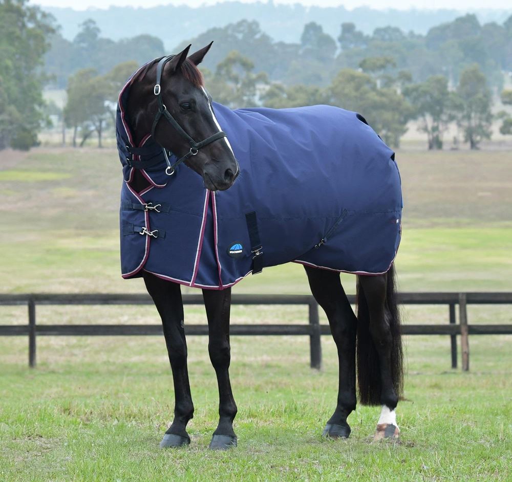 Weatherbeeta Comfitec Essential Turnout Combo - 220g (Navy/Burgundy)