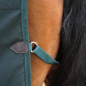 Shires Deluxe Stable Sheet (Green)