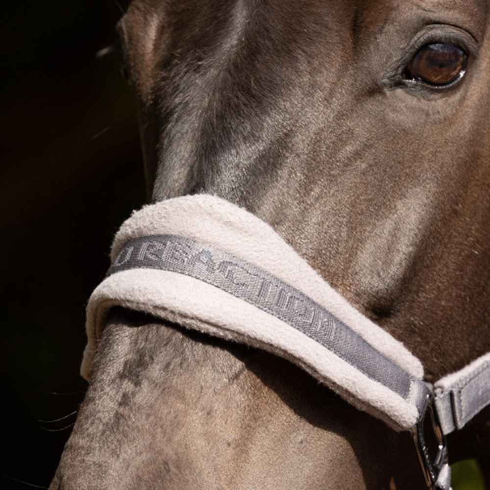 ProReaction Dura Fleece Head Collar by Hy Equestrian (Grey)