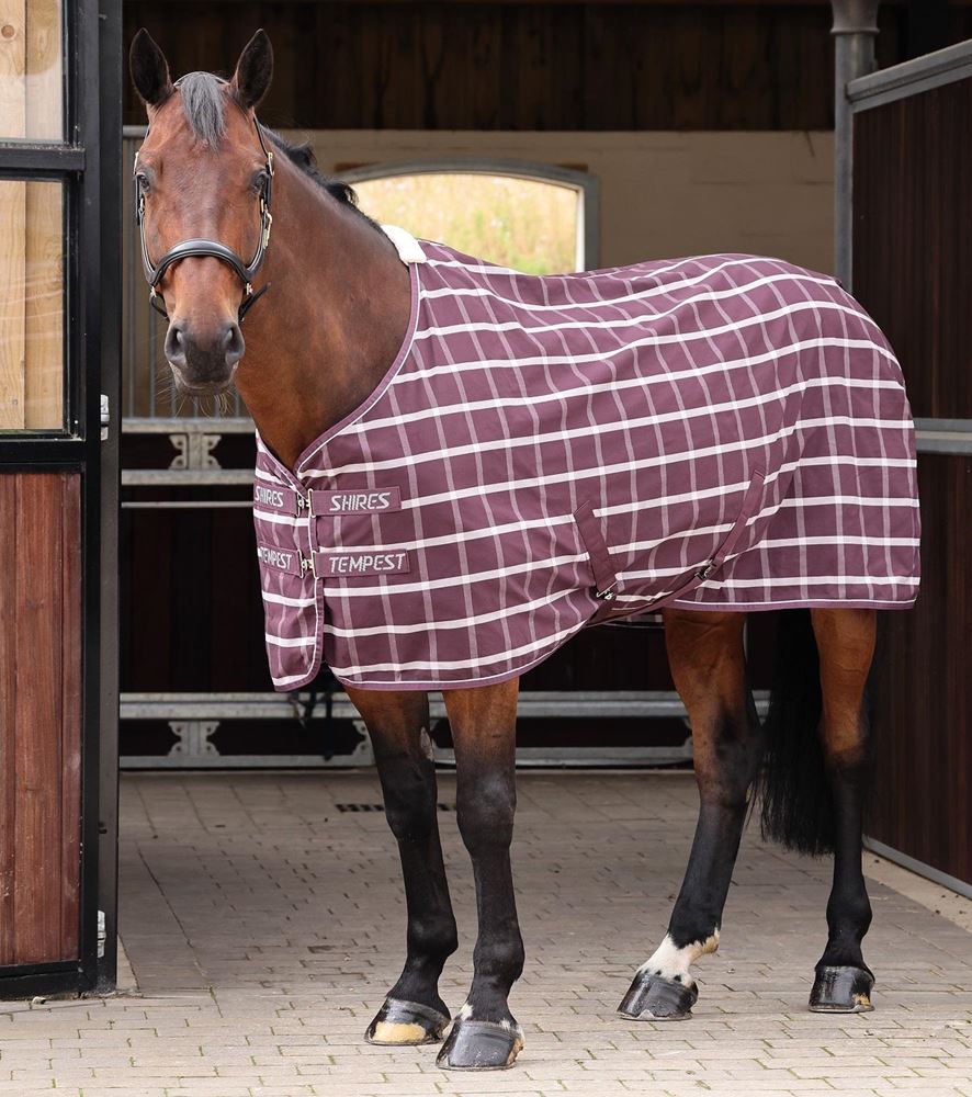 Shires Tempest Original Stable Sheet (Maroon Check)