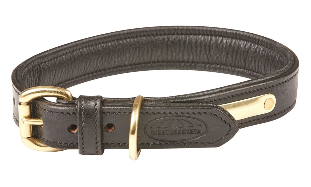 Weatherbeeta Padded Leather Dog Collar (XLarge)