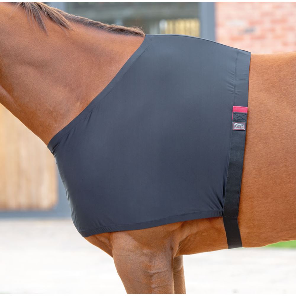 Shires Anti-Rub Vest
